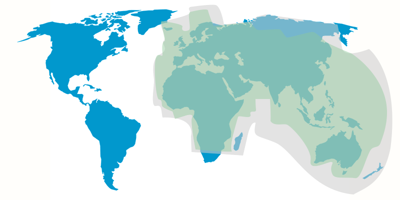  Thuraya XT-LITE - Das günstige Satellitentelefon